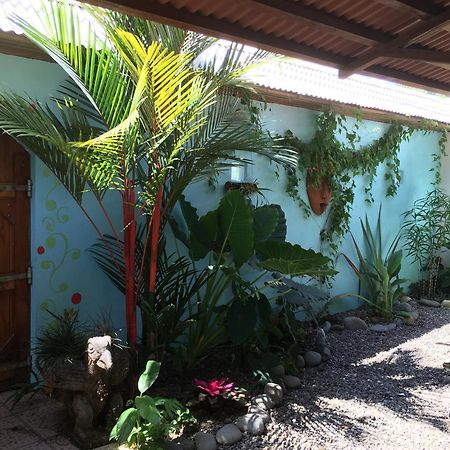 Sueno Grande B&B Puerto Viejo de Talamanca Exteriör bild
