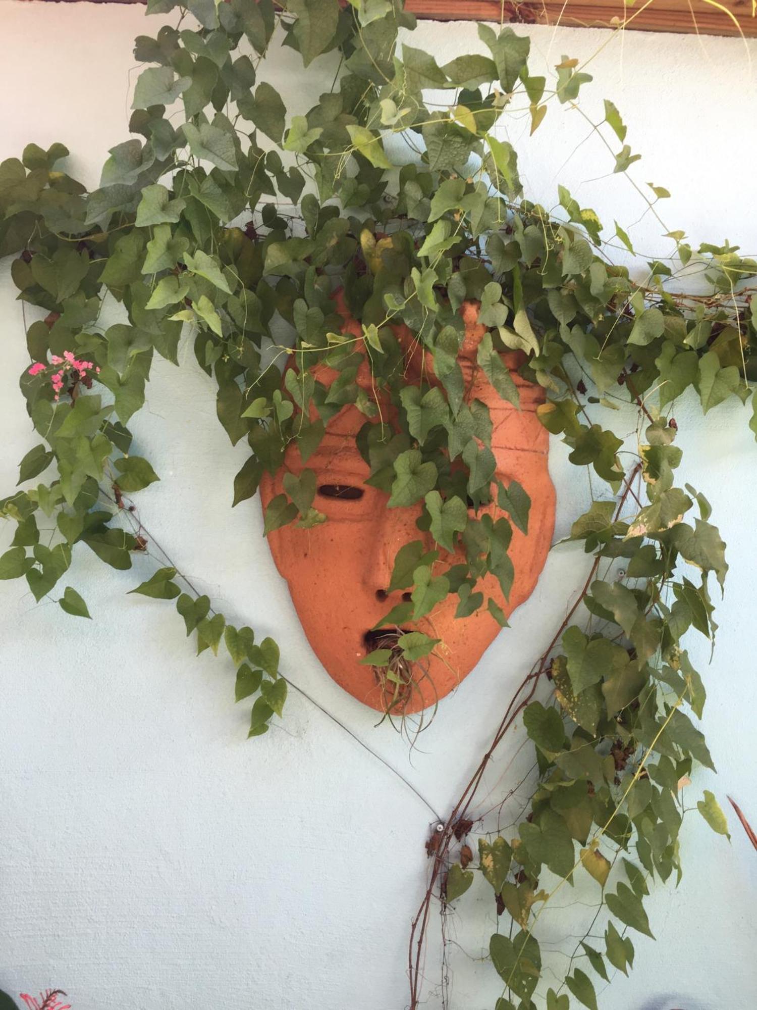 Sueno Grande B&B Puerto Viejo de Talamanca Exteriör bild