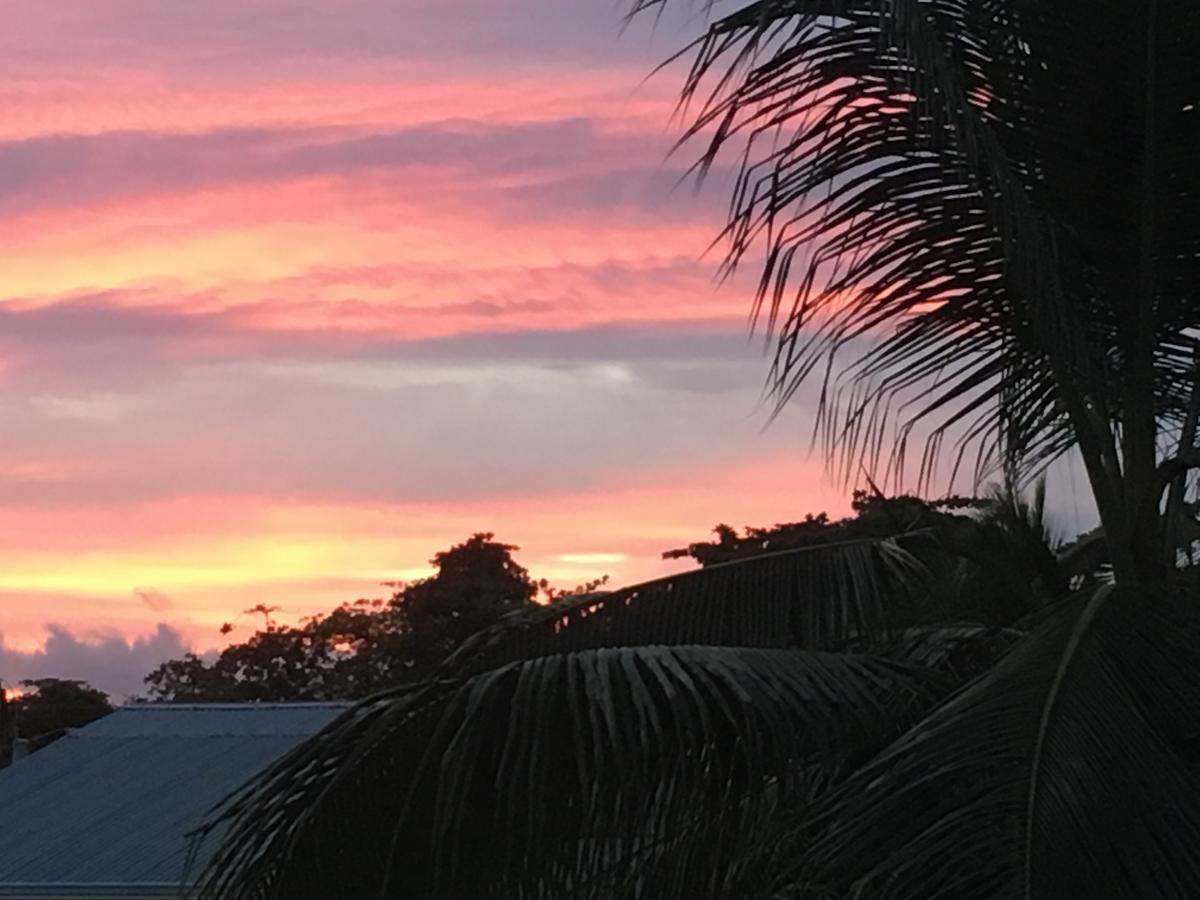 Sueno Grande B&B Puerto Viejo de Talamanca Exteriör bild